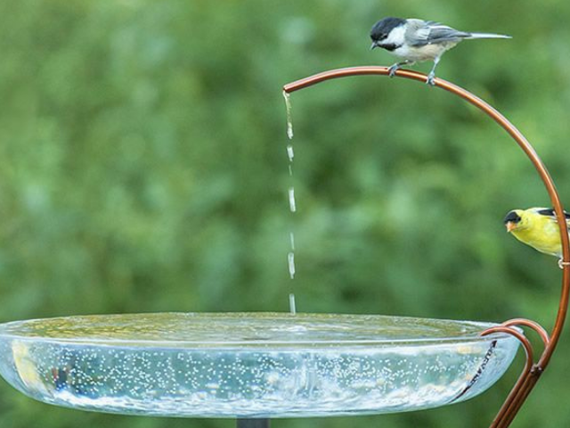 1478867470001-15892571057_20210123_133704_0000